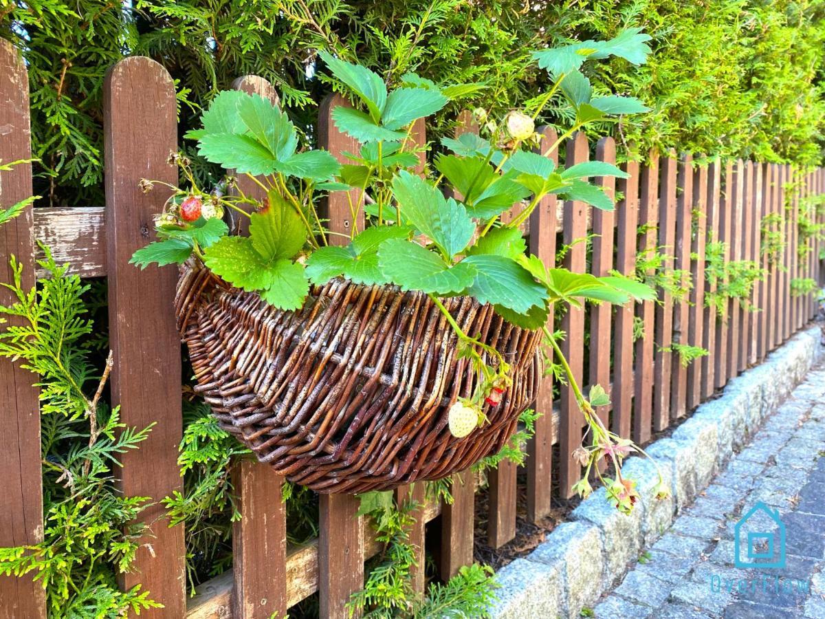 Holibobos Year Round Cottage In Kamien By The Lake Only 30 Minutes From Gdansk And Gdynia 외부 사진